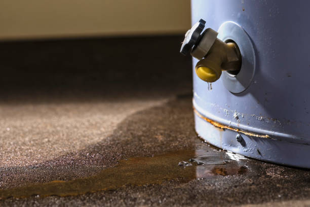 24/7 water damage repair in Sheldon, IL