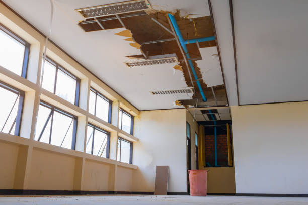 Best Carpet water damage restoration  in Sheldon, IL