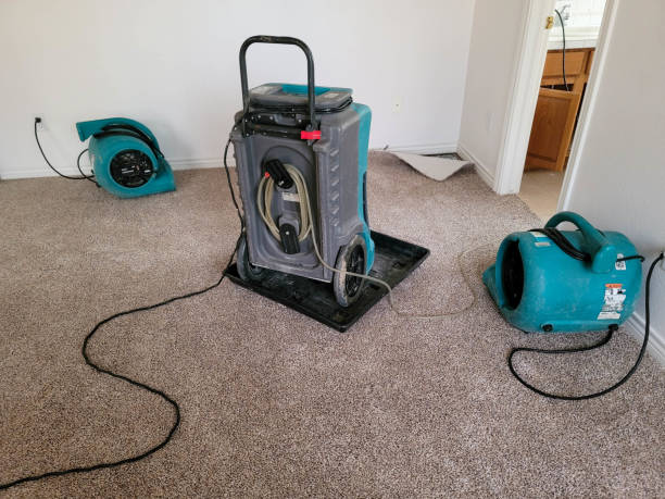 Best Water damage contractors near me  in Sheldon, IL
