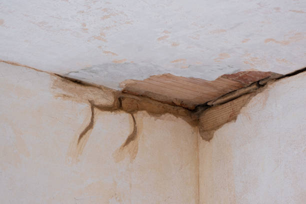Best Carpet water damage restoration  in Sheldon, IL