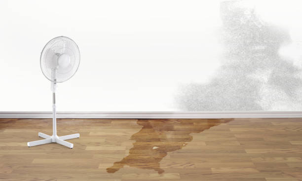 Reliable Sheldon, IL Water damage restoration Solutions