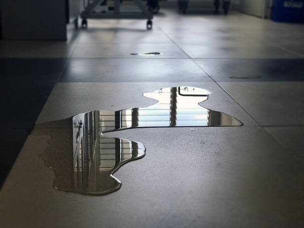 Best Local water damage restoration  in Sheldon, IL