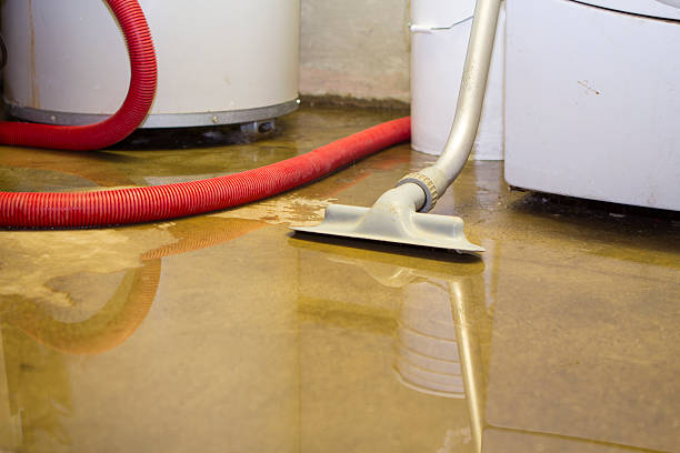 Best Flood restoration services  in Sheldon, IL