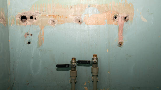Carpet water damage restoration in Sheldon, IL