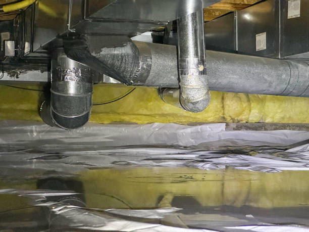 Best Flood restoration services  in Sheldon, IL