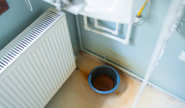 Best 24/7 water damage repair  in Sheldon, IL