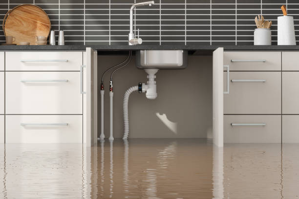 Best Water damage restoration experts  in Sheldon, IL