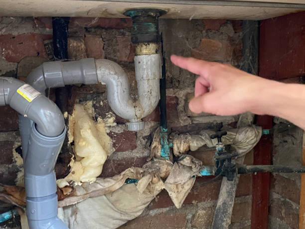 Best Sewage cleanup and water damage restoration  in Sheldon, IL
