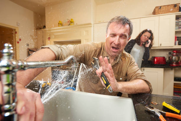 Best Residential water damage restoration  in Sheldon, IL